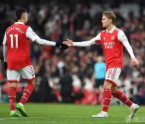 阿尔艾因球迷疯狂庆祝,期待下一轮表现的简单介绍 阿尔艾因球迷疯狂庆祝,期待下一轮表现的简单介绍