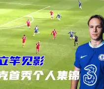 九州体育-切尔西中场核心受伤，球队战力大打折扣的简单介绍