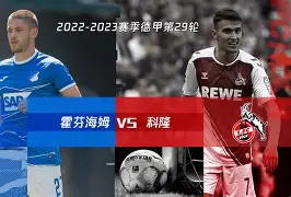 霍芬海姆客场挑战领头羊，抢夺积分