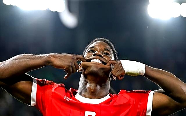 瑞典国家队赢得胜利,瑞典球员展现出色表现了什么